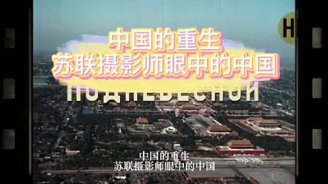 限定视角口碑新片
